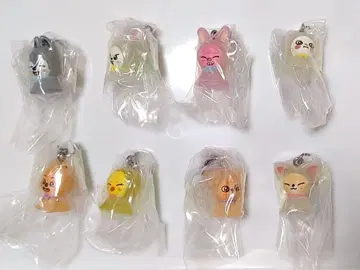 skzoo 메지루시 액세서리 전 8종 컴프 세트