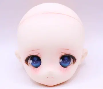 1/6 TinyFox 01S 헤드 커스텀 + 딜러님 제작 아이