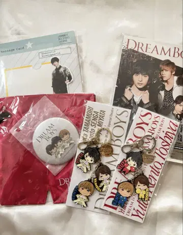 묶음 판매 kismyft2 Dreamboys 굿즈, DVD 세트