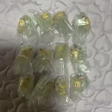 SKZOO 메지루시 액세서리 폭시니