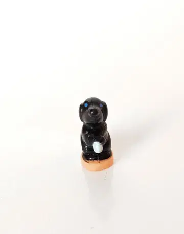 폴리 포켓 Pet Surgery on the go 개