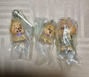 skzoo 한쿼카 메지루시 액세서리 & 집어 연결 세트