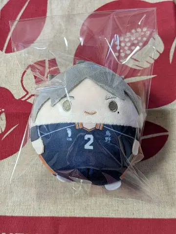 하이큐 스가와라 코시 후와코로린
