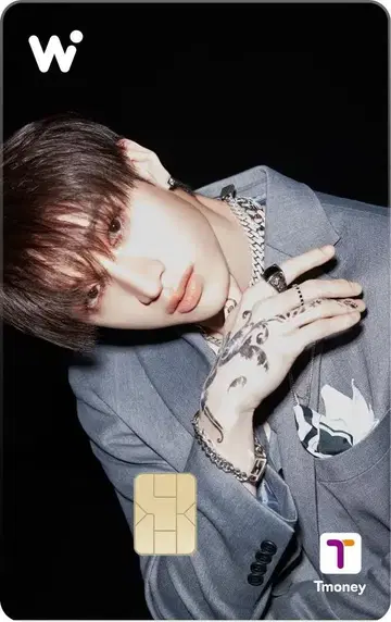 반찬 StrayKids WOWPASS 한정판