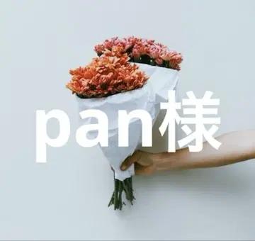 pan 님