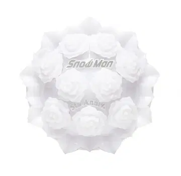 Snow Man 응원봉 Snow World