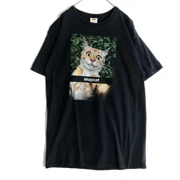 3115 프룻 오브 더 룸 고양이 애니멀 T 반팔 티셔츠 블랙