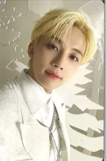 SEVENTEEN 일반ver JEONGHAN 사랑의 힘