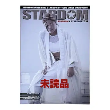 스타덤 가이드북 STARDOM 여자 프로레슬링