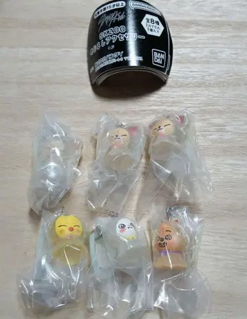 SKZOO 메지루시 액세서리 가챠 6종 세트
