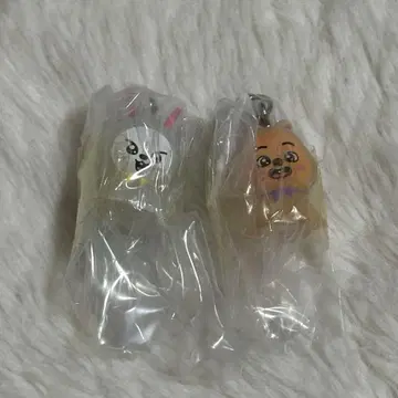 straykids 메지루시 액세서리 Lee 비트 한쿼카 된장