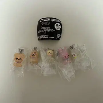 straykids skzoo 메지루시 액세서리 5종 세트