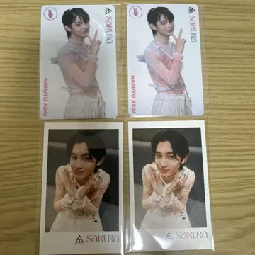 아사이 요토 BATTLE BOYS SAKURA