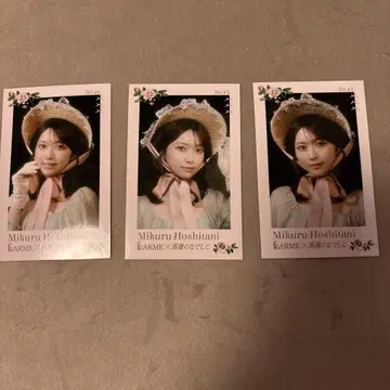 타카미네의 나데시코 호시타니 미라이 LARME POPUP 미니 사진 컴프