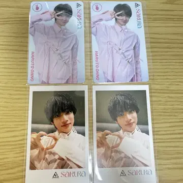 오노 요토 BATTLE BOYS SAKURA