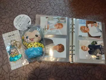 Hey! Say! JUMP 야오토메 히카루 피탄 푸치비누이, 키링, 사진