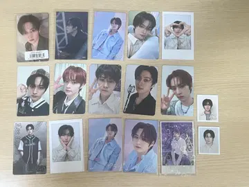 리노 트레이딩 카드 스티커 묶음 판매