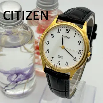 작동 손목시계 CITIZEN EXCEED 시티즌 새 상품 벨트 A46