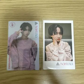 에츠야마 케이타 BATTLE BOYS SAKURA
