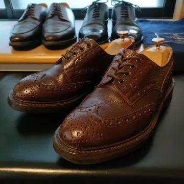 [ Tricker's ] 트리커즈 UK6.5 M3087 ILKLEY