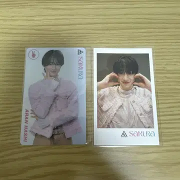 교신몽 배틀 보이즈 사쿠라