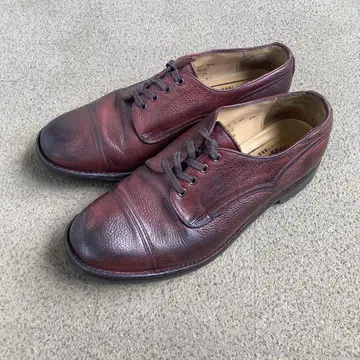 HOGGS of FIFE 치니 제 OEM 켄곤 81/2