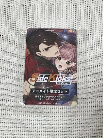 Sidekicks! 사이드 킥스 애니메이트 소책자