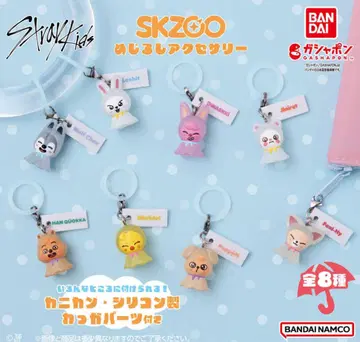 skzoo 메지루시 액세서리 전 8종 컴프 세트