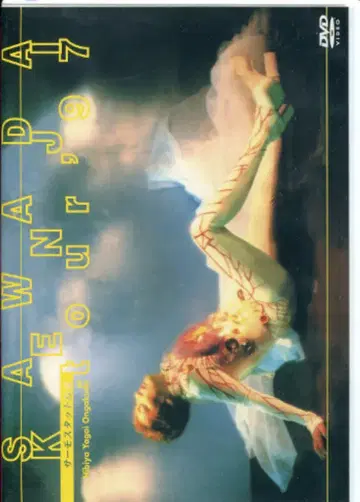 DVD 사와다 켄지 써모스탯 여름 콘서트 투어 1997 1997