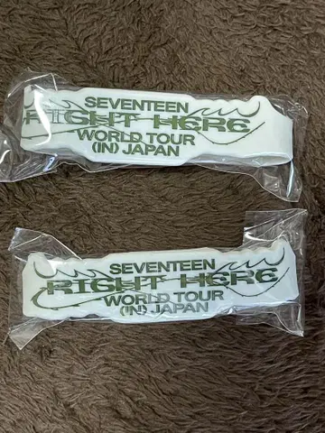 SEVENTEEN RIGHT HERE 정한 조슈아 러버 밴드
