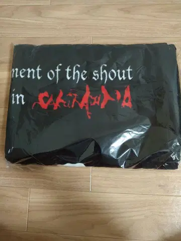 나가부치 고 2006 사쿠라지마 SHOUT 빅 타월