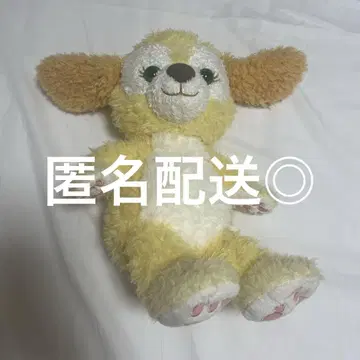 쿠키 앤 봉제 인형