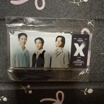 CNBLUE VOYAGE into X 아이치 회장 티켓 키링 회장별