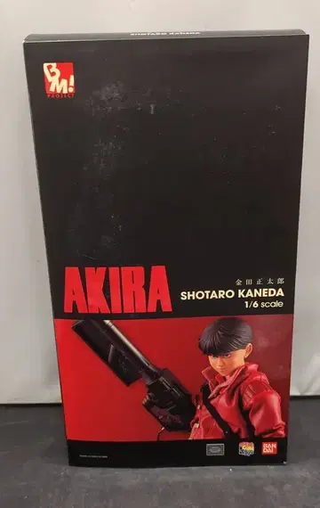 메디콤 토이 Project BM! AKIRA 카네다 쇼타로 30