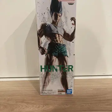 HUNTER x HUNTER 피그라이프! 곤 피규어