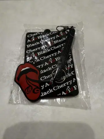 ACID BLACK CHERRY 패스 케이스