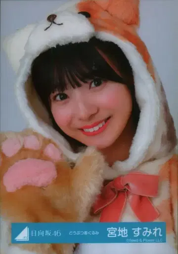 히나타자카46 2024년 신년 아이템 미야치 스미레 동물 인형옷 요리