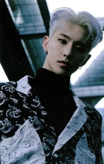 세븐틴 호시 Spider 21