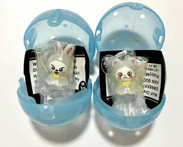 SKZOO 메지루시 액세서리 리비트 리노 지니레트 현진