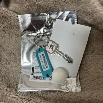 하이큐! 트레이딩 고등학교 이름이 들어간 열쇠 참 키링 아오바죠사이 고교