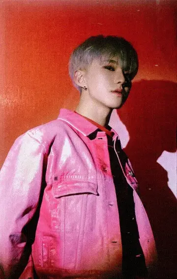 세븐틴 호시 Spider 35