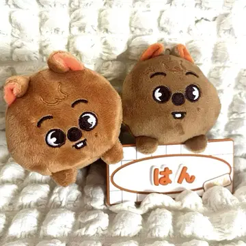 SKZOO 한쿼카 네임 백 참 백 참 세트