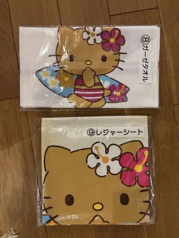당첨 복권 햇볕에 탄 키티 돗자리와 타월