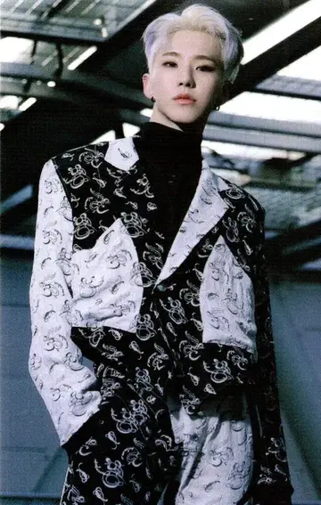 SEVENTEEN 호시 Spider 43
