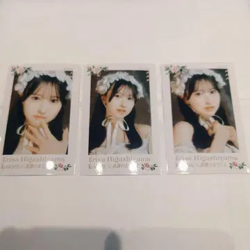 타카네노 나데시코 히가시야마 에리사 미니 포토 카드 (컴프)