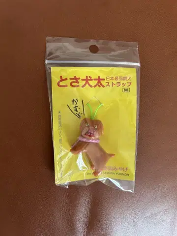 데하라 노리유키 토사견타 키링 스트랩