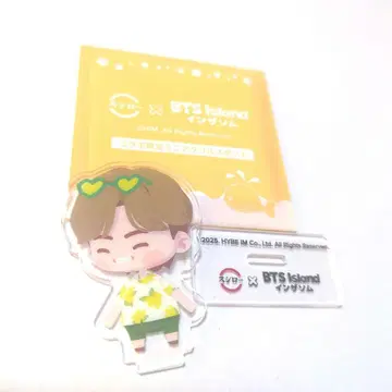BTS V 태태 태현 미니 아크릴 스탠드 인더섬 스시로