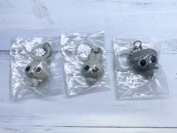 카문과 안토 표식 키링