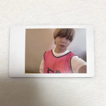 아즈 하피카 팬더 드래곤