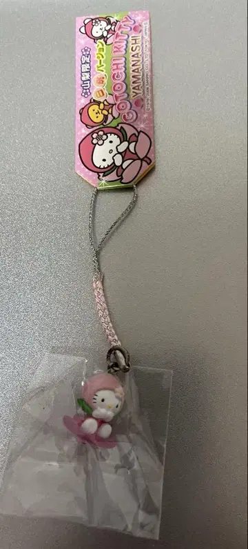 지역 키티 야마나시 한정판 화이트 복숭아 네츠케
